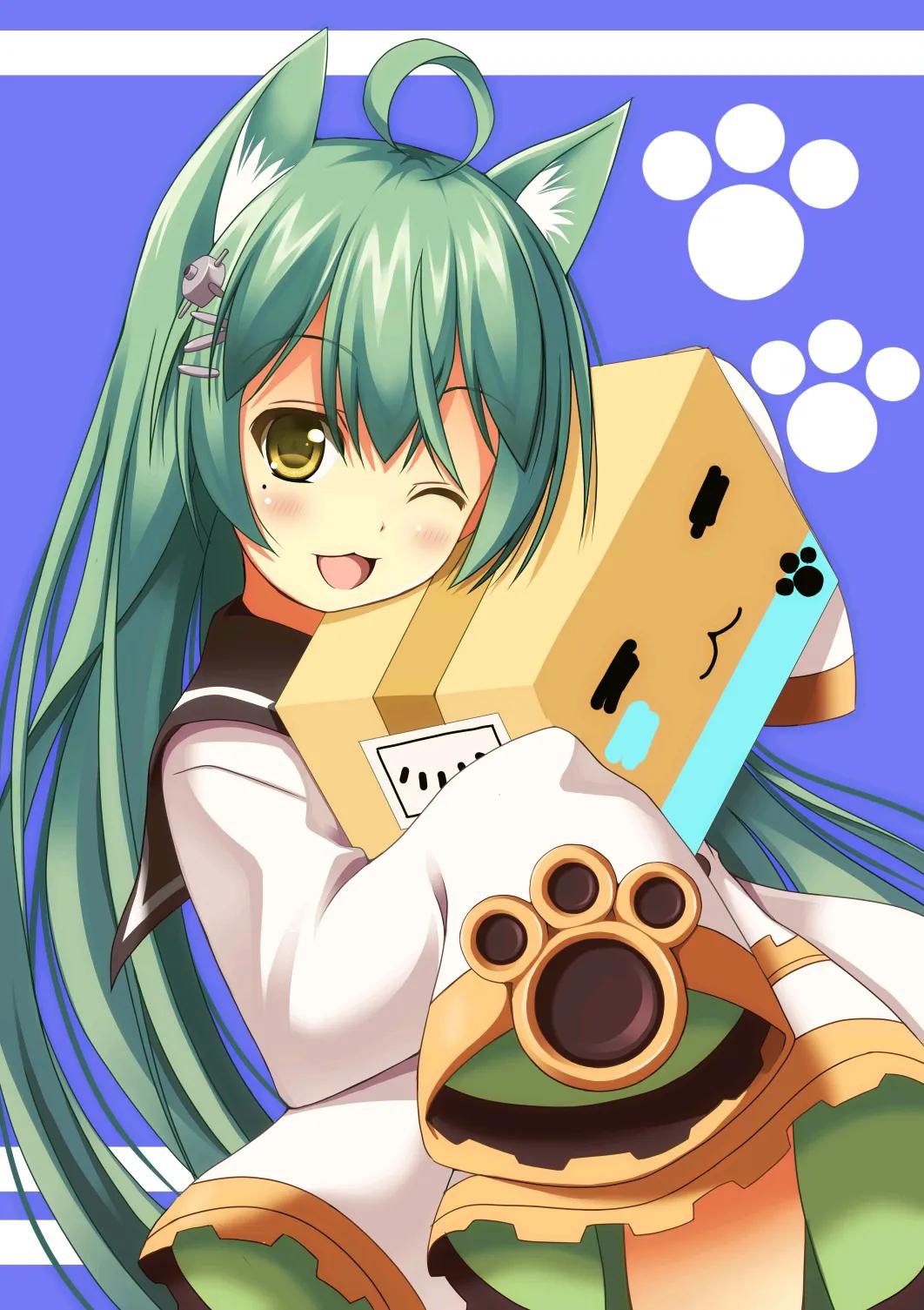 二次元小猫美图,二次元白喵美图