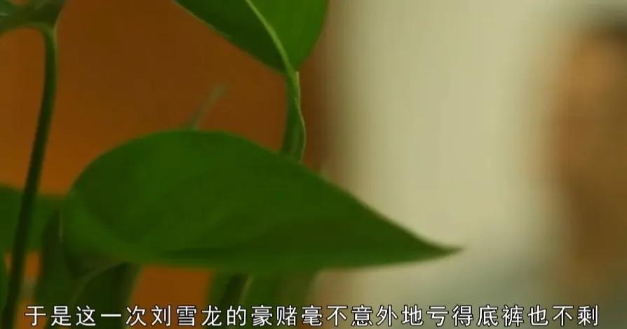 湖南小伙买彩票一年挣80个亿,湖南小伙买彩票挣了80亿