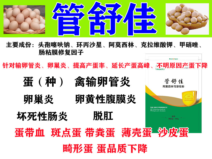 鹅蛋子瘟是病毒病吗,禽医刘帆技术服务