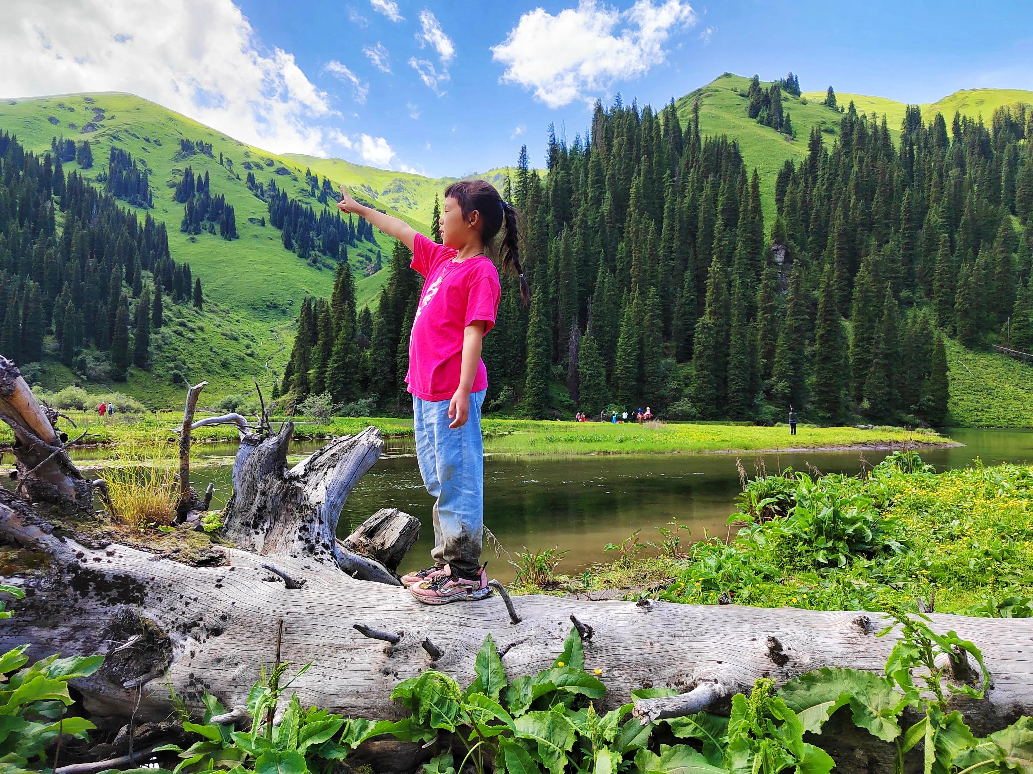 穿越森林探险视频,穿越森林探险之旅