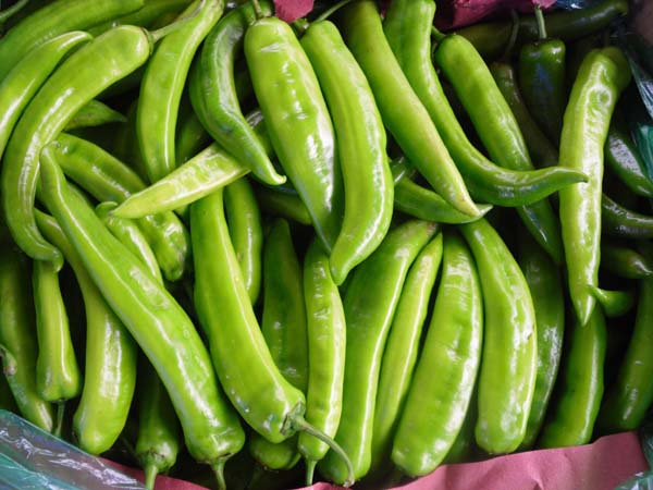 不同的辣椒秧怎么区分,同种辣椒鲜的辣还是干的辣