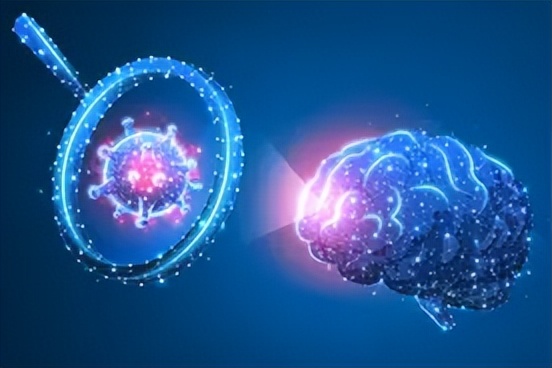 大豆卵磷脂对心脑血管疾病的帮助,补充大脑营养的药用卵磷脂