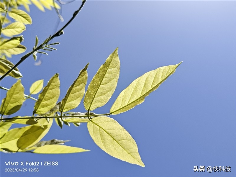 vivoxfold2测评优缺点,全能轻薄和强劲性能