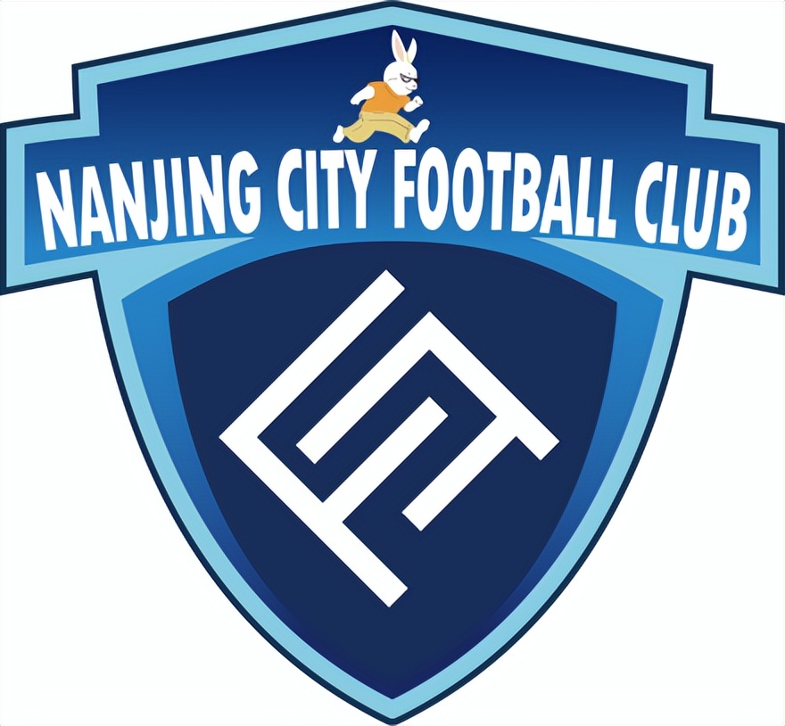南京城市足球俱乐部是中甲吗,南京足球青训俱乐部排名