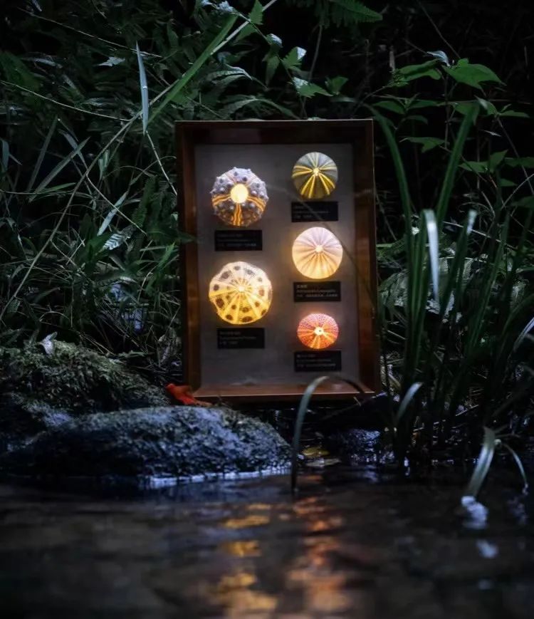 100元以内的黑科技男生好物,男生礼物科技好物推荐