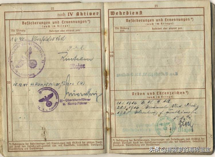 二战时德国军人的肩章,二战德国兵种领章