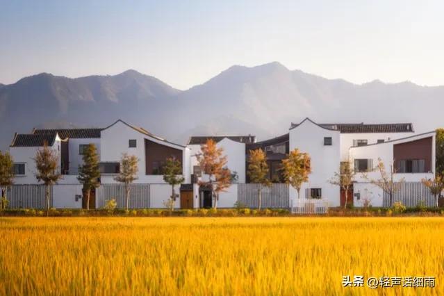 农村土地承包给个人合法吗,农村土地承包种地合算吗