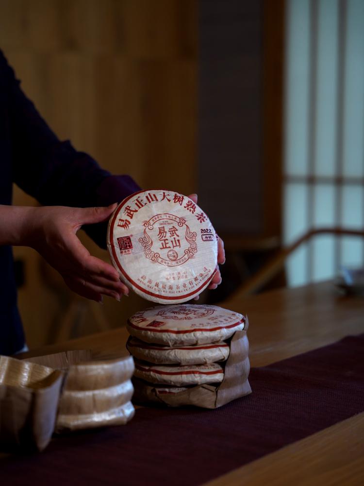 福海2023年易武正山大树茶,易武正山熟茶福海茶厂