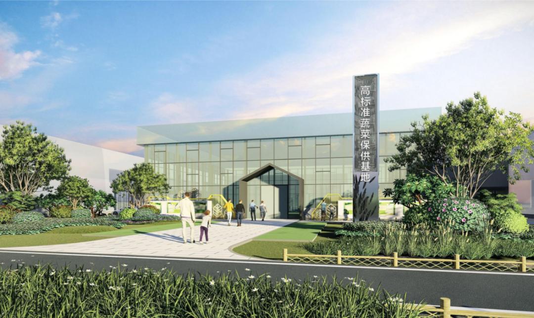 加快建设现代化都市圈,加快农村城镇化建设