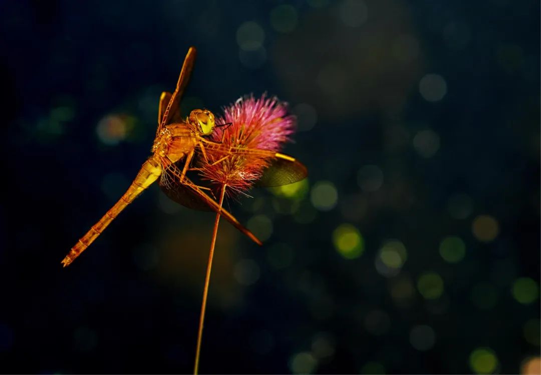 立秋的经典诗词,立秋最好的十首诗词