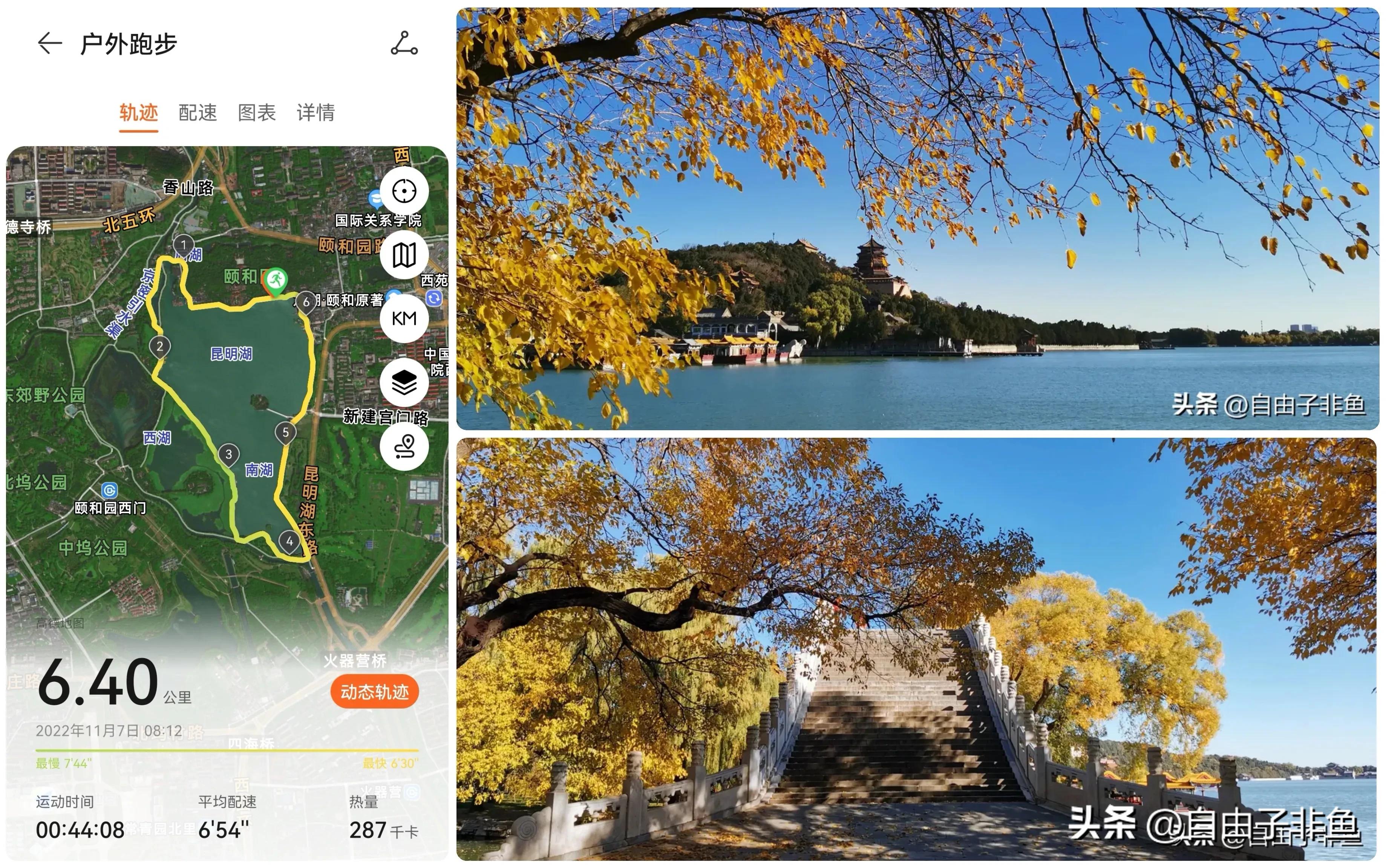 北京植物园跑步路线,北京适合跑步的地方