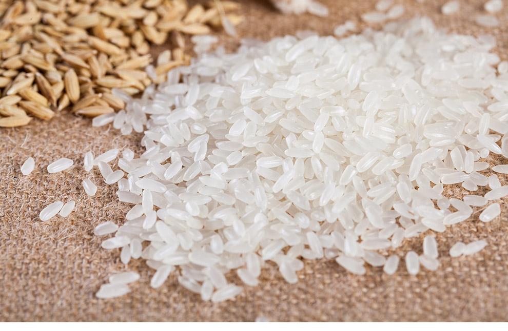 最好吃的东北大米鉴别,东北大米最好吃地方