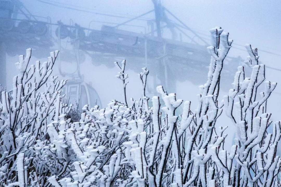 2021连州金子山雾凇观赏时间,广州金子山雾凇