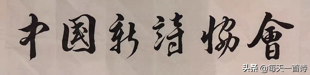 实力派「四」山西诗人：张江