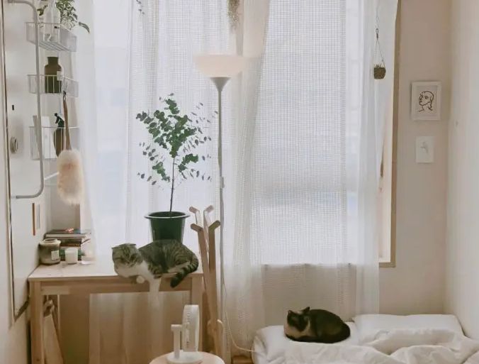 100个万能的文案,可以写作的万能文案模板