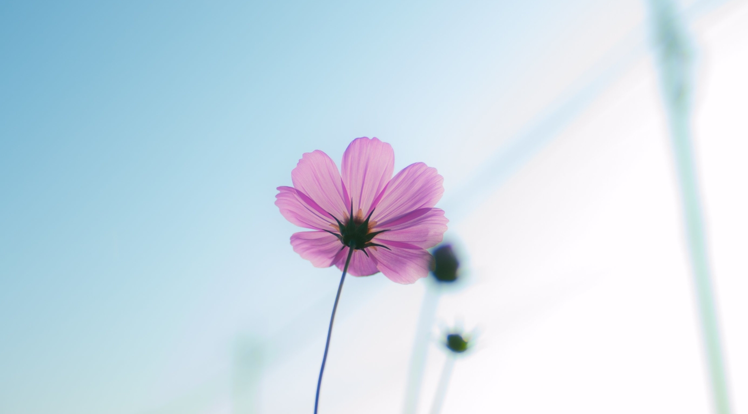 不会化妆的女人都有哪些烦恼,不喜欢化妆的女生怎么化妆