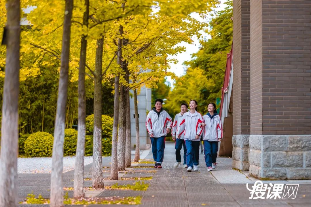 秋季限定|昆明九所学校，送你诗意校园里的一抹金