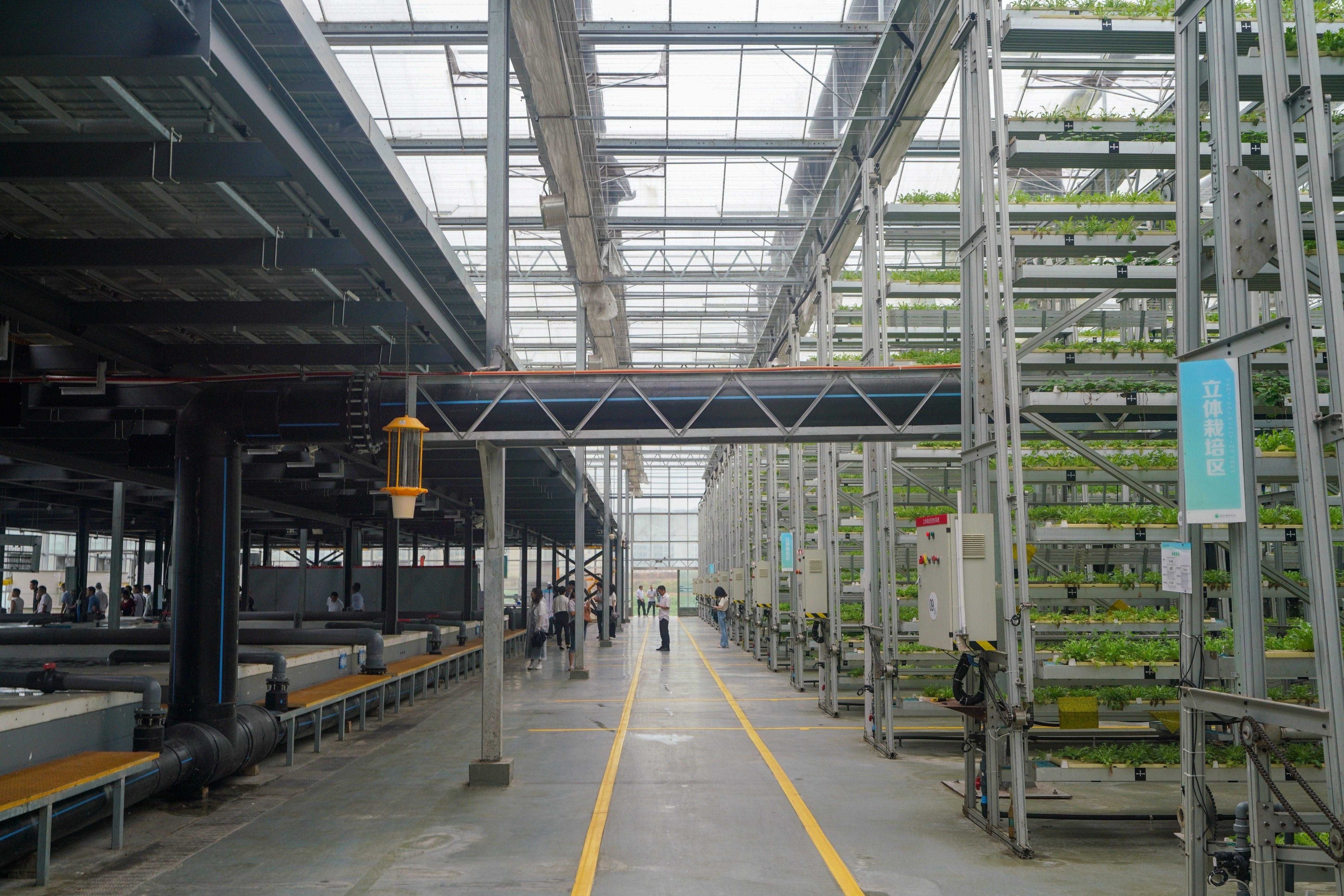 走进重庆现代农业高科技园区科技创新让农业“高大上”