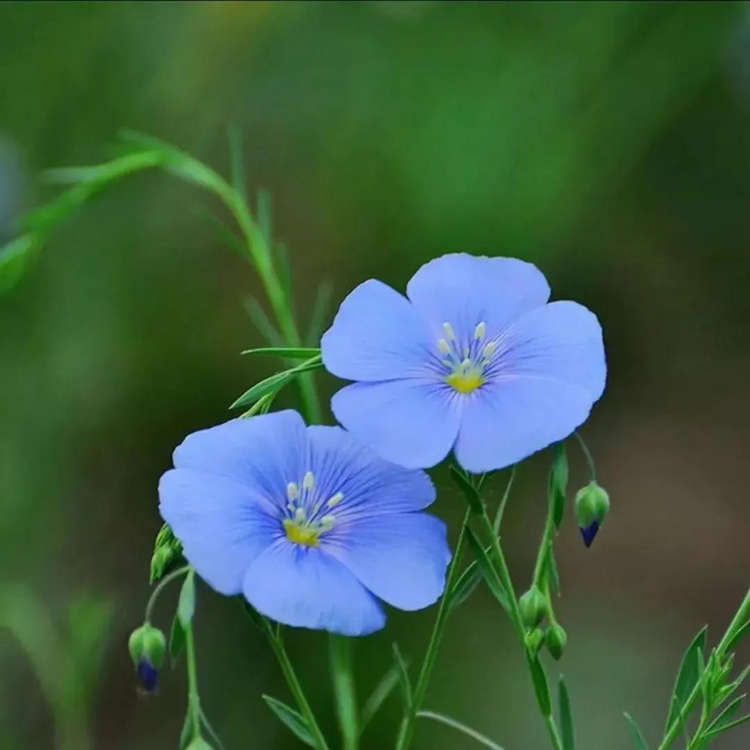 绿汀文学社,2021年绿汀文学社第5期