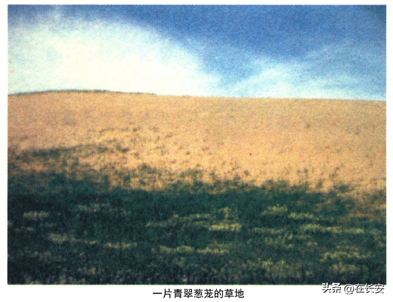 丝路沧桑书籍,唐僧取经路上过情关