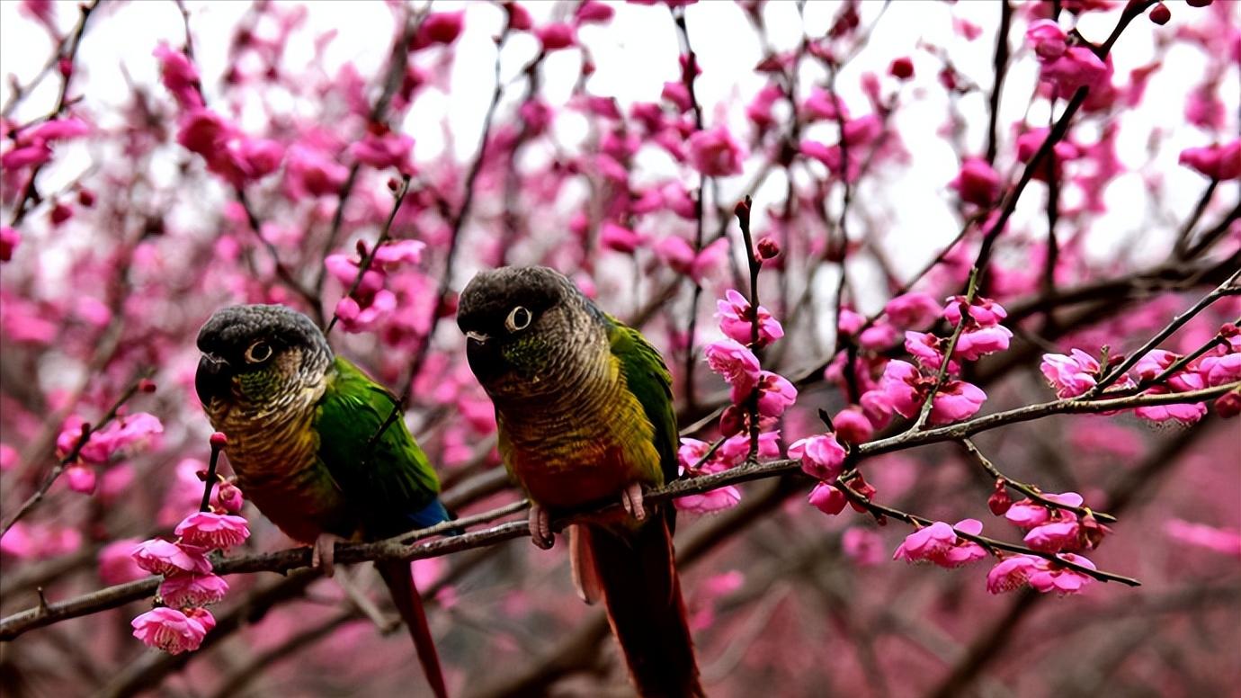福建省福州市几个区,中国34个省级行政区域教学视频