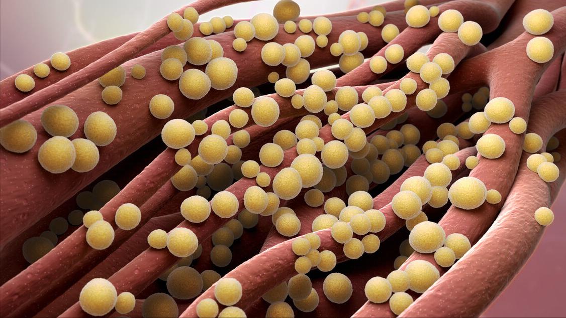 你知道：为啥外国女*爱性**用卫生棉条，中国喜欢卫生巾吗？涨知识了