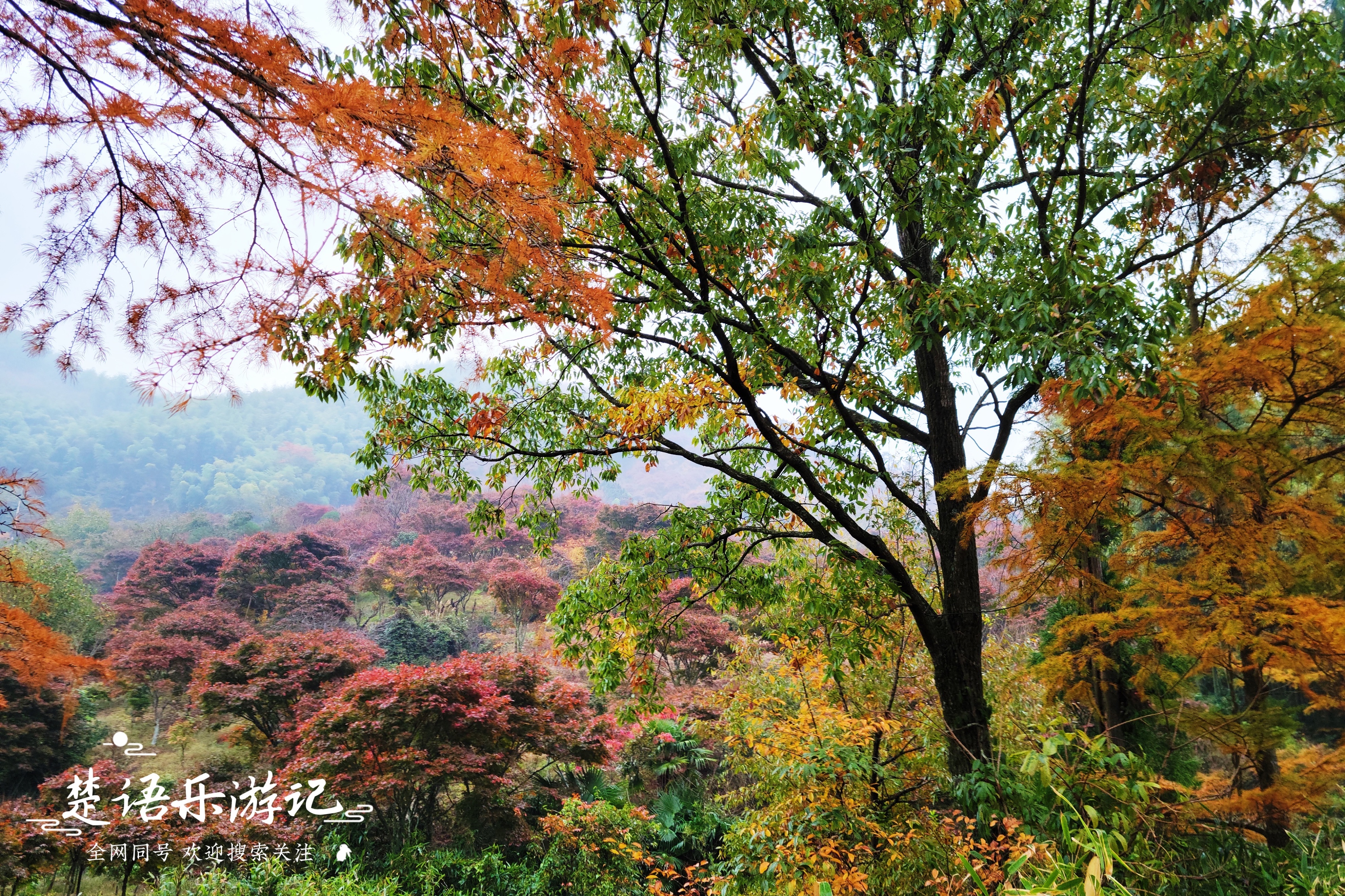 浙江宁波发现一处避世桃源，名字充满传说，景色如画堪称游玩佳地