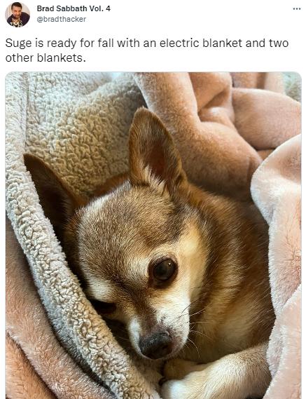 欧洲人买爆中国电热毯！工厂连夜加班，网友爆笑：狠赚一笔哈哈哈