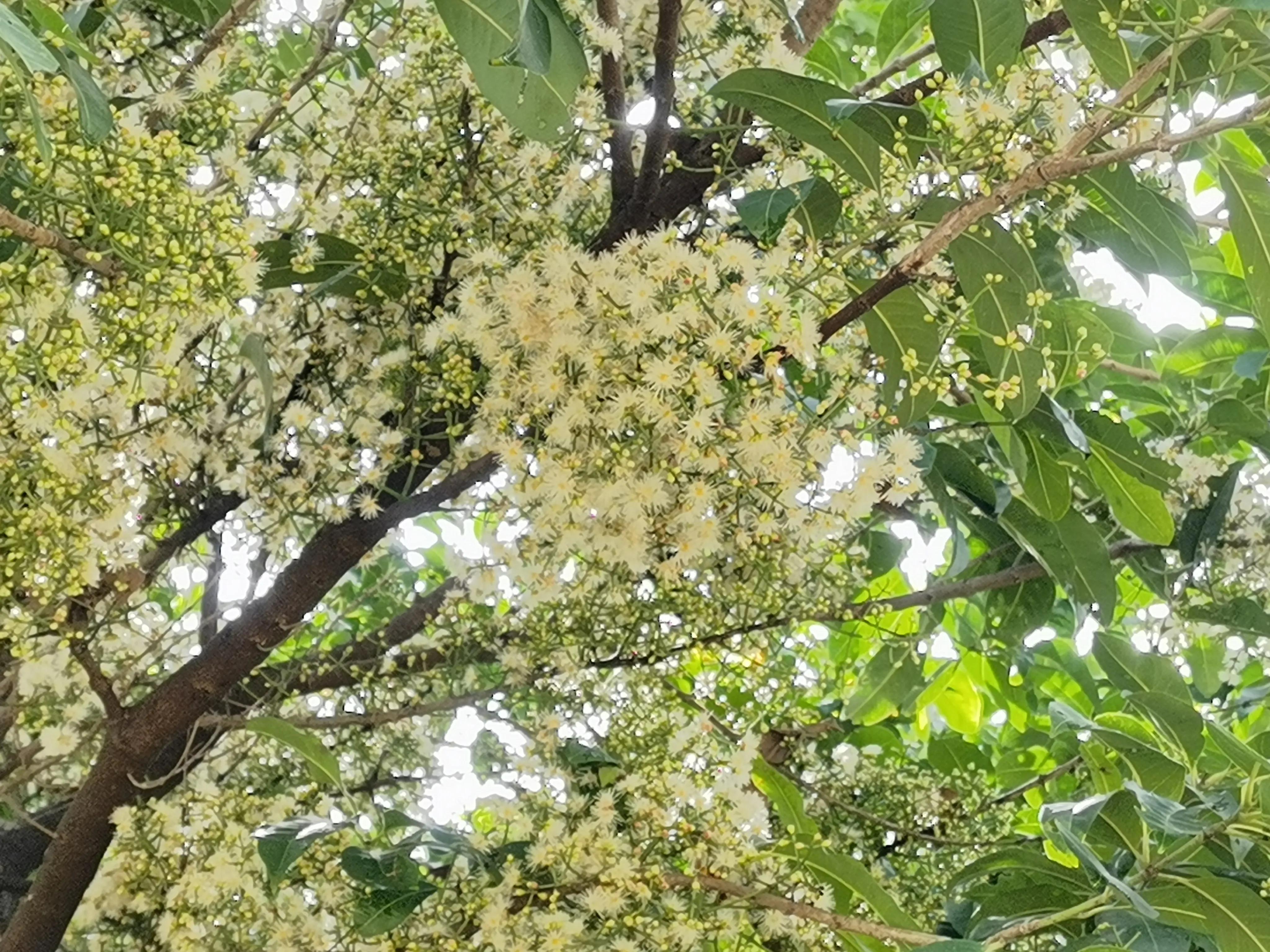 结石的痛苦有谁懂,结石的痛怎么缓解