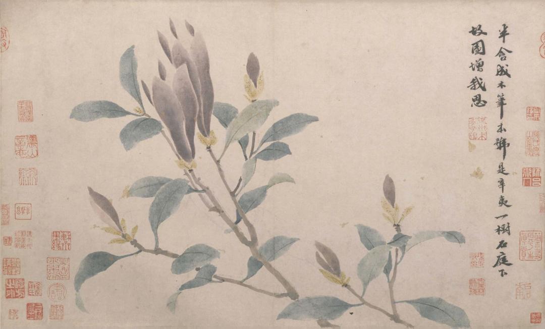 唐诗鉴赏辛夷坞王维,辛夷坞唐王维古诗断句