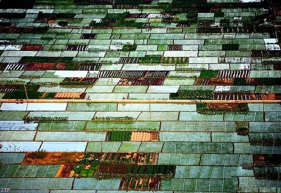 中国人文摄影获奖作品,大美中国摄影作品展获奖