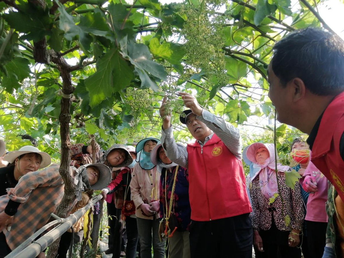 开展精神文明各类创建活动总结,文明花开香满城