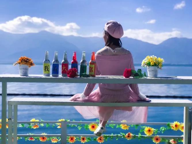 一天环游洱海旅游攻略,一天自驾环洱海攻略