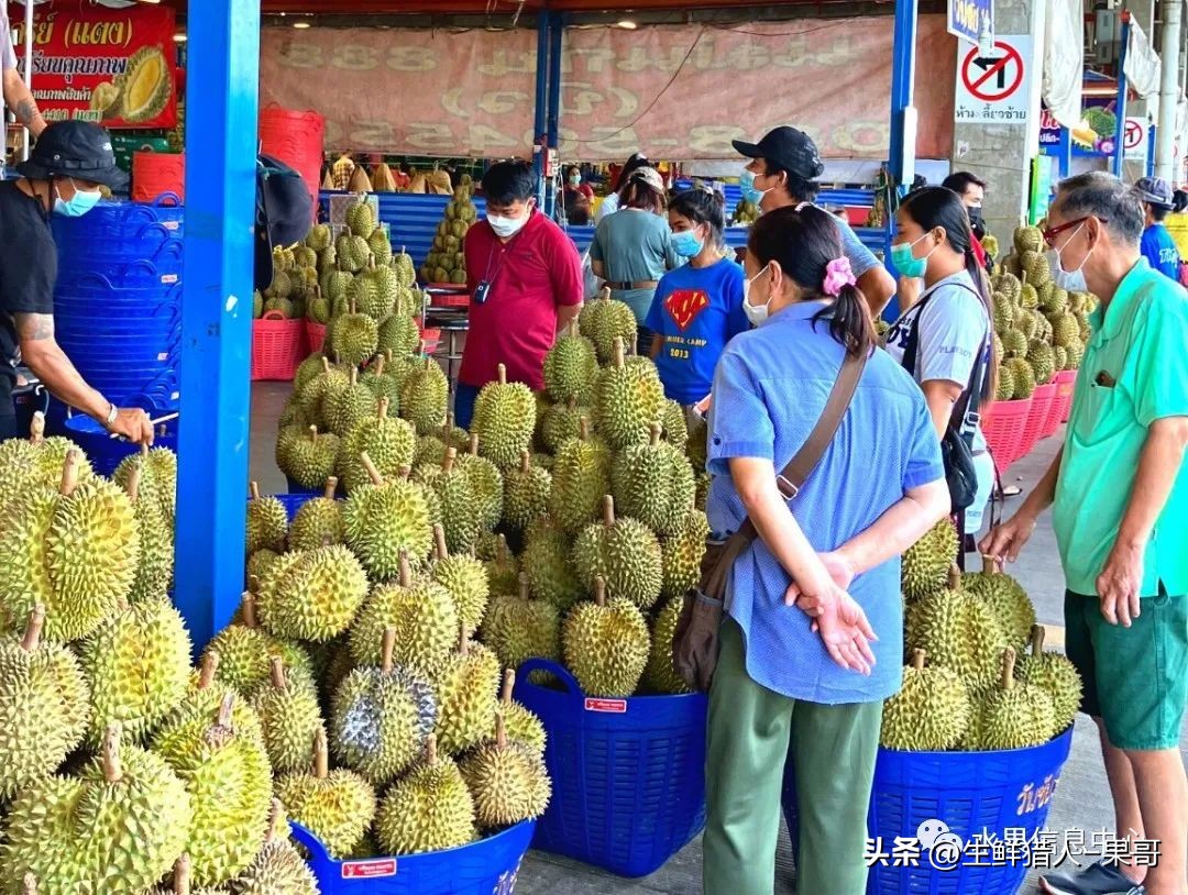 东南亚最大的水果批发市场,东南亚热带水果批发