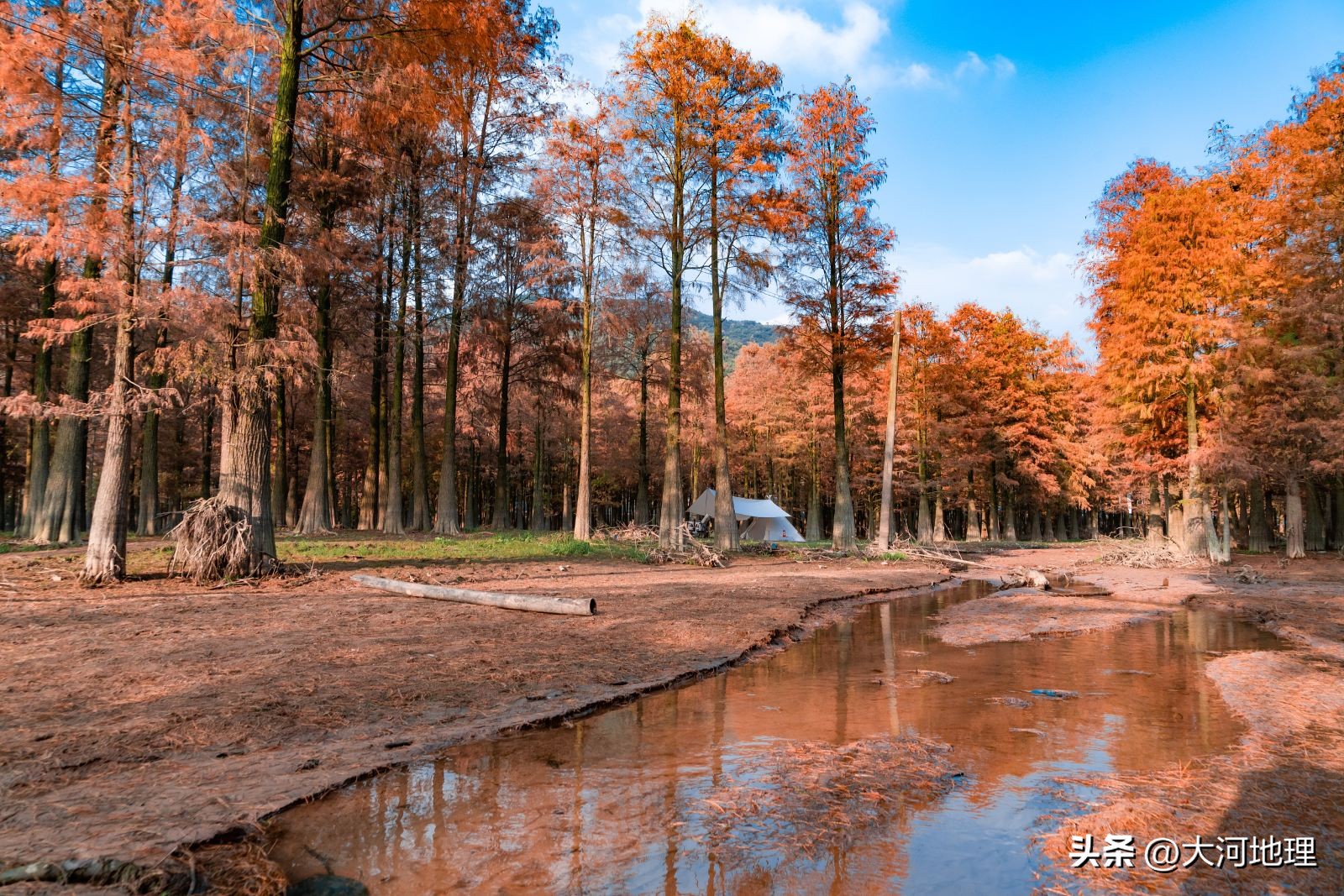 中国南方这30个景点,难说多知名,但敢说它的秋色最艳最浪漫