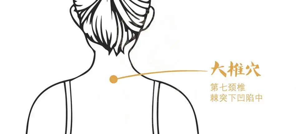 杏吃多了对脾胃有什么伤害,脾胃不好能吃李子和杏