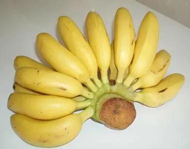 香蕉皮能不能吃,什么香蕉要煮来吃