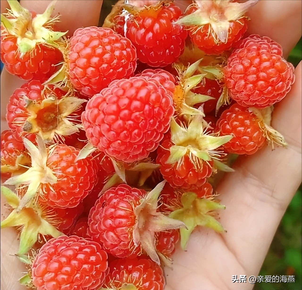 8090怀旧经典零食你都吃过哪些,中国最怀旧的58种经典零食