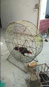 想要知道商品价格用什么扫,你想知道你是什么消费群体吗