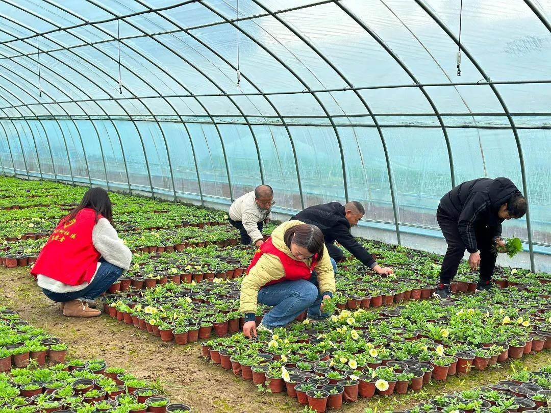 鍙ら泟琛楅亾绀惧尯鏈嶅姟涓績,鍙ら泟琛楅亾渚挎皯鏈嶅姟涓績