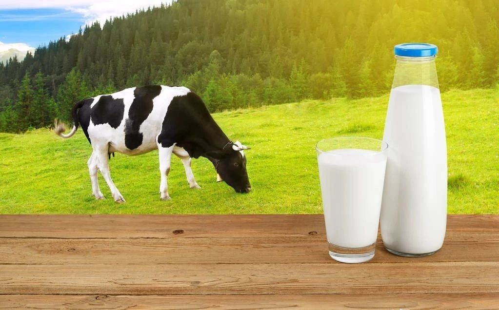 Part1：关于奶粉，你最关心的问题，我来解答