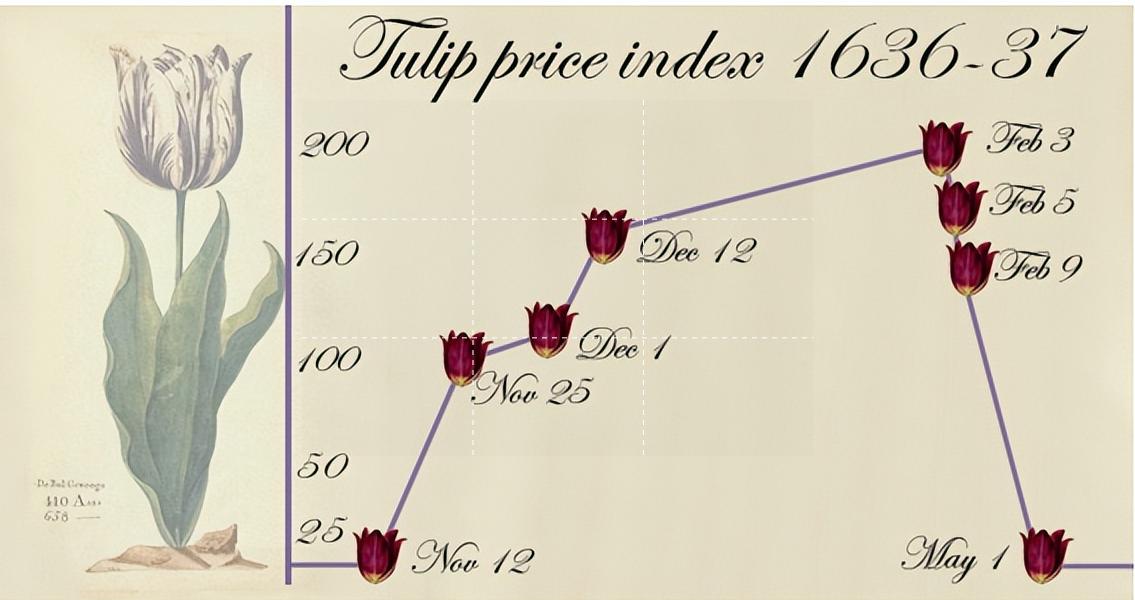 荷兰郁金香泡沫,17世纪荷兰的郁金香泡沫