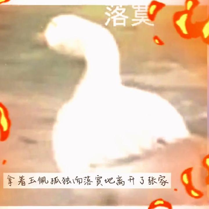 绝色总裁4#霸道总裁小娇妻