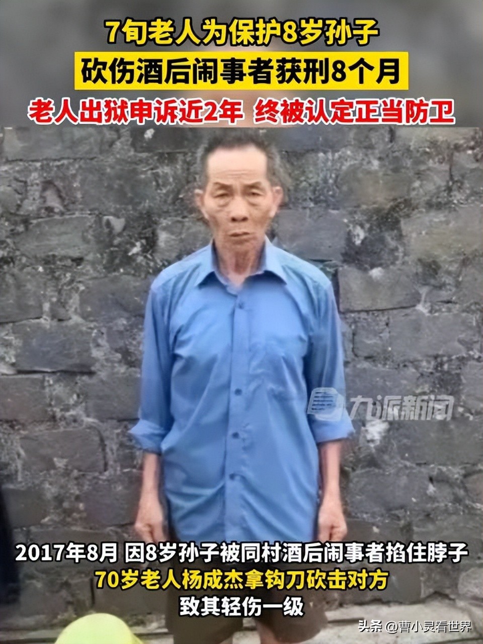 海南七旬老人救孙获刑案,海南七旬老人救孙为什么获刑