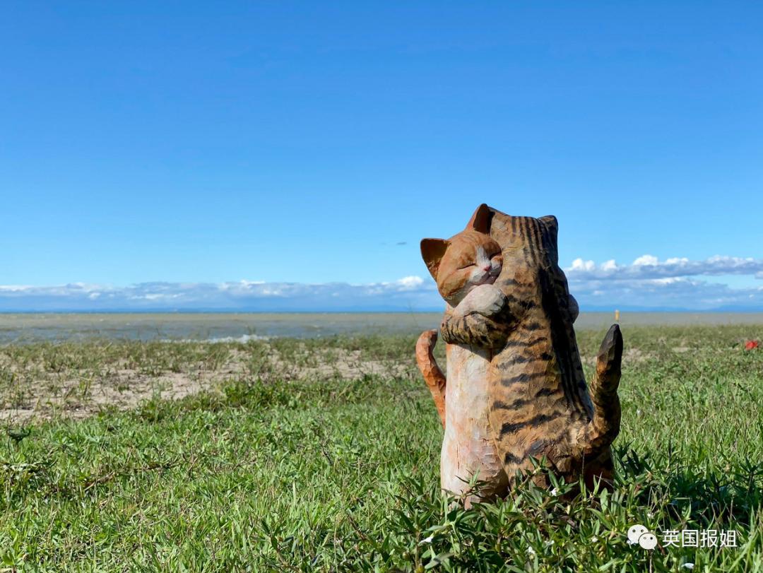 木头雕刻作品猫,手工雕刻木雕小猫