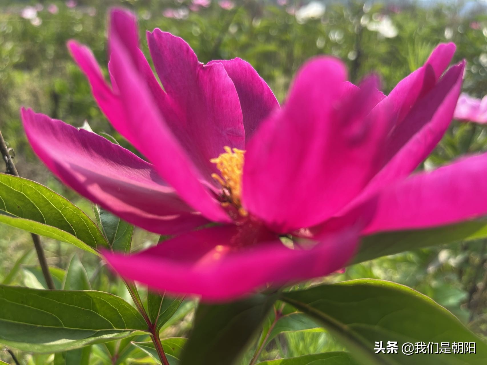 九嶷河国家湿地公园在哪里,九嶷河湿地公园