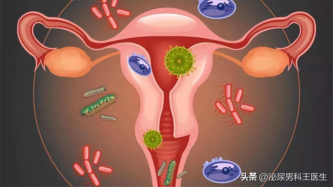 外阴一端肥大好几年还能恢复吗,外阴一侧肥大要紧吗