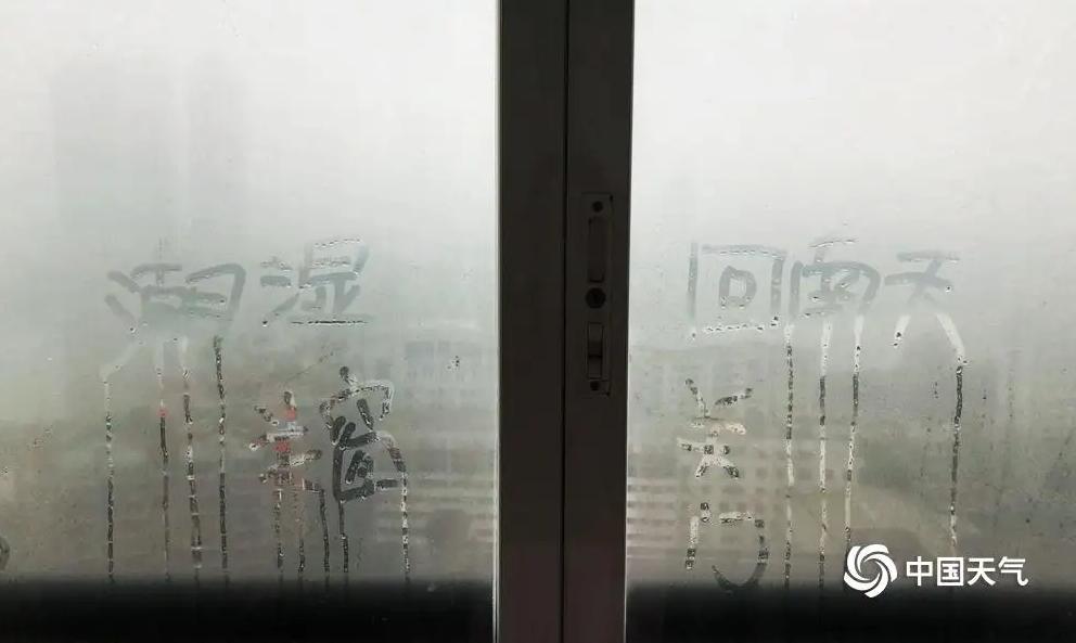 真香警告手机,真香警告的原文