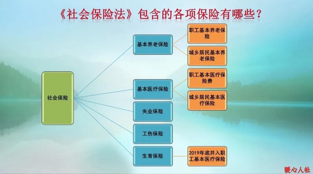 买社保与不买社保哪个划算,买社保跟不买社保有什么区别