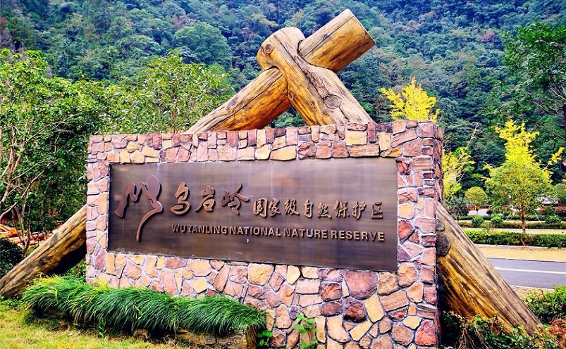 温州必去的十大景点,温州市旅游攻略必去十大景点